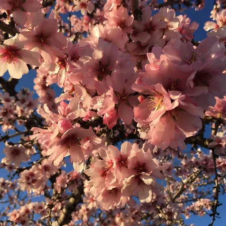 Casa vacanze South *