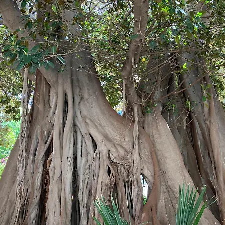 South Casa vacanze Ciudad Quesada