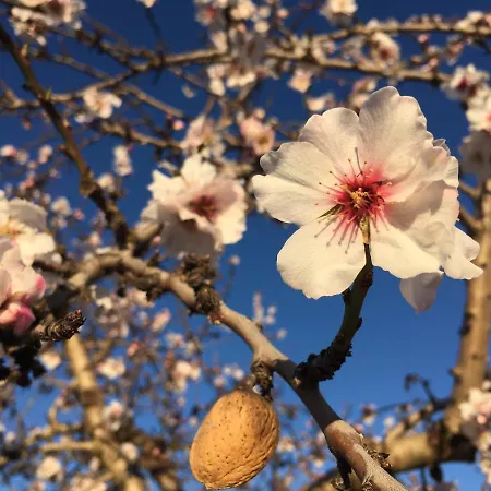 Casa vacanze South *