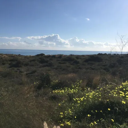 South Holiday home *
