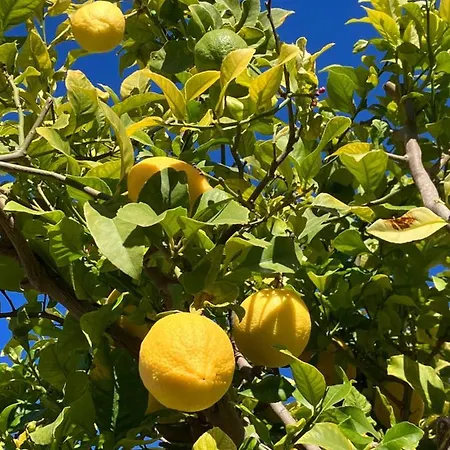 Hébergement de vacances South Ciudad Quesada